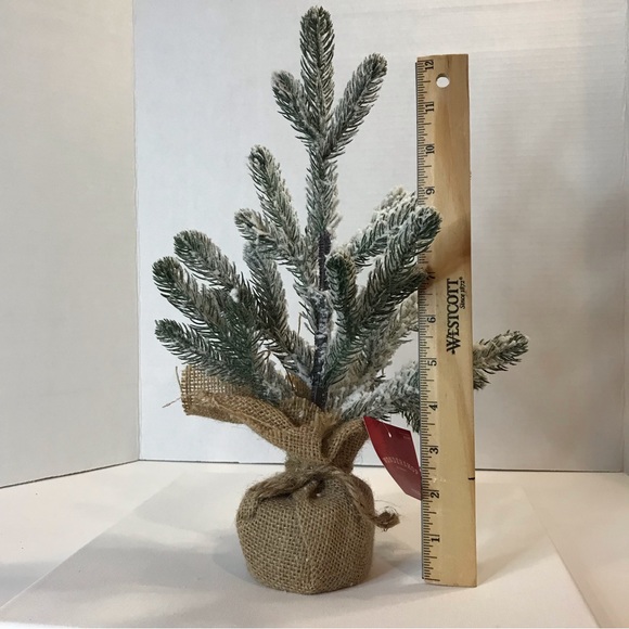 Icy Frosted Pine Tree in Burlap Base - Picture 2 of 3